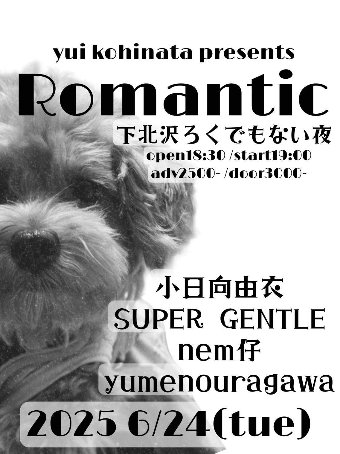 小日向由衣定期公演 『ROMANTIC！』